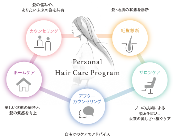 システム ヘアケア プログラム